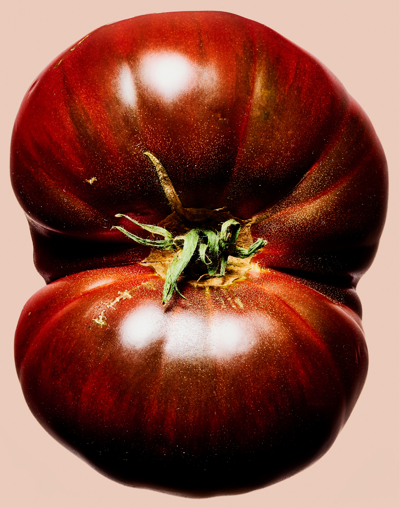 170516-Cover-Grid-Tomato-3275-V8