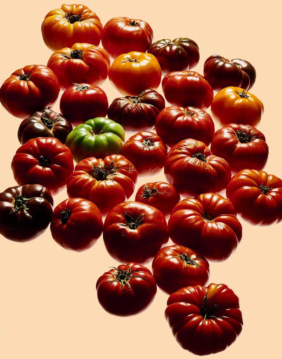 tedandchelsea-ingredients-A-072